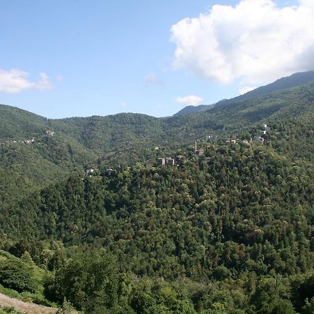 Le Refuge Orezza Piedicroce  Rum bild