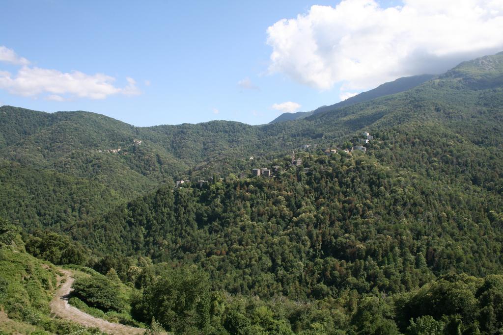 Le Refuge Orezza Piedicroce  Rum bild